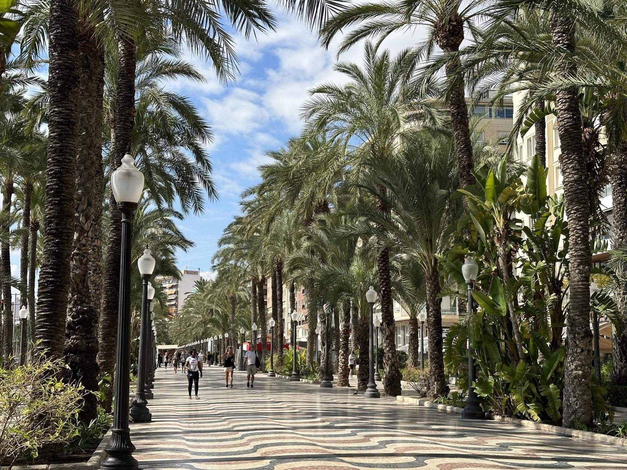 Apartament Luceros 310 New Alicante Zewnętrze zdjęcie